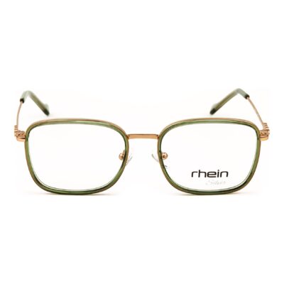 Frame-Rhein Silver D2379 C2