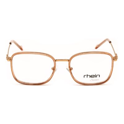 Frame-Rhein Silver D2379 C3