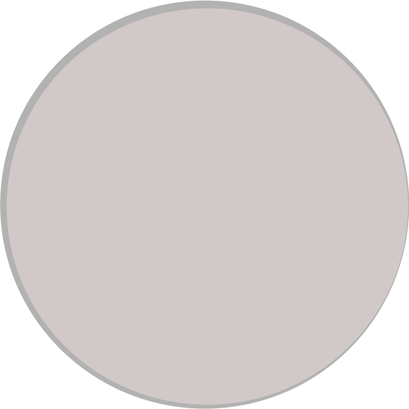 Solid gray 25%