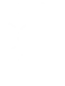 Protección contra la luz azul